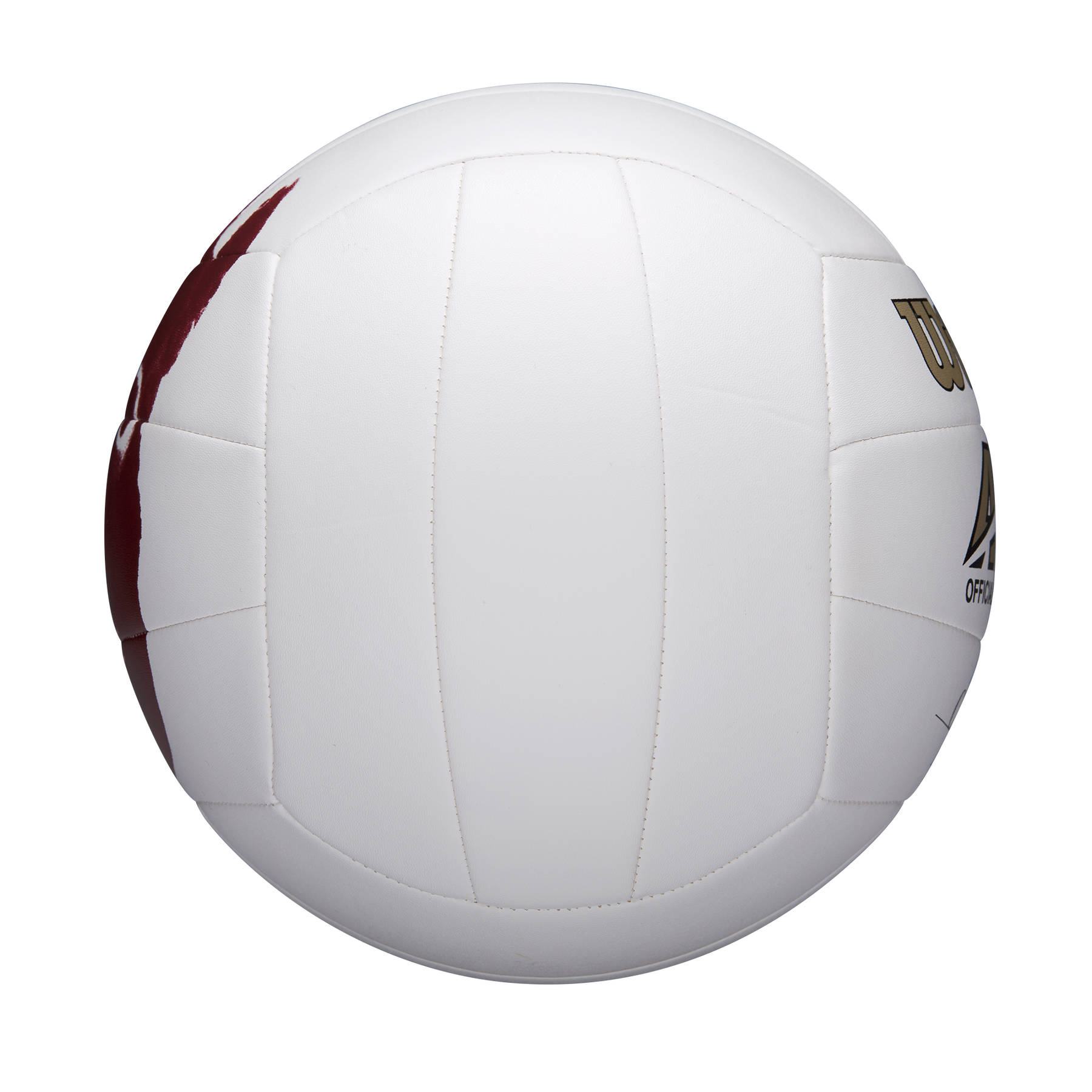 PELOTA DE VOLEIBOL MR WILSON CAST AWAY