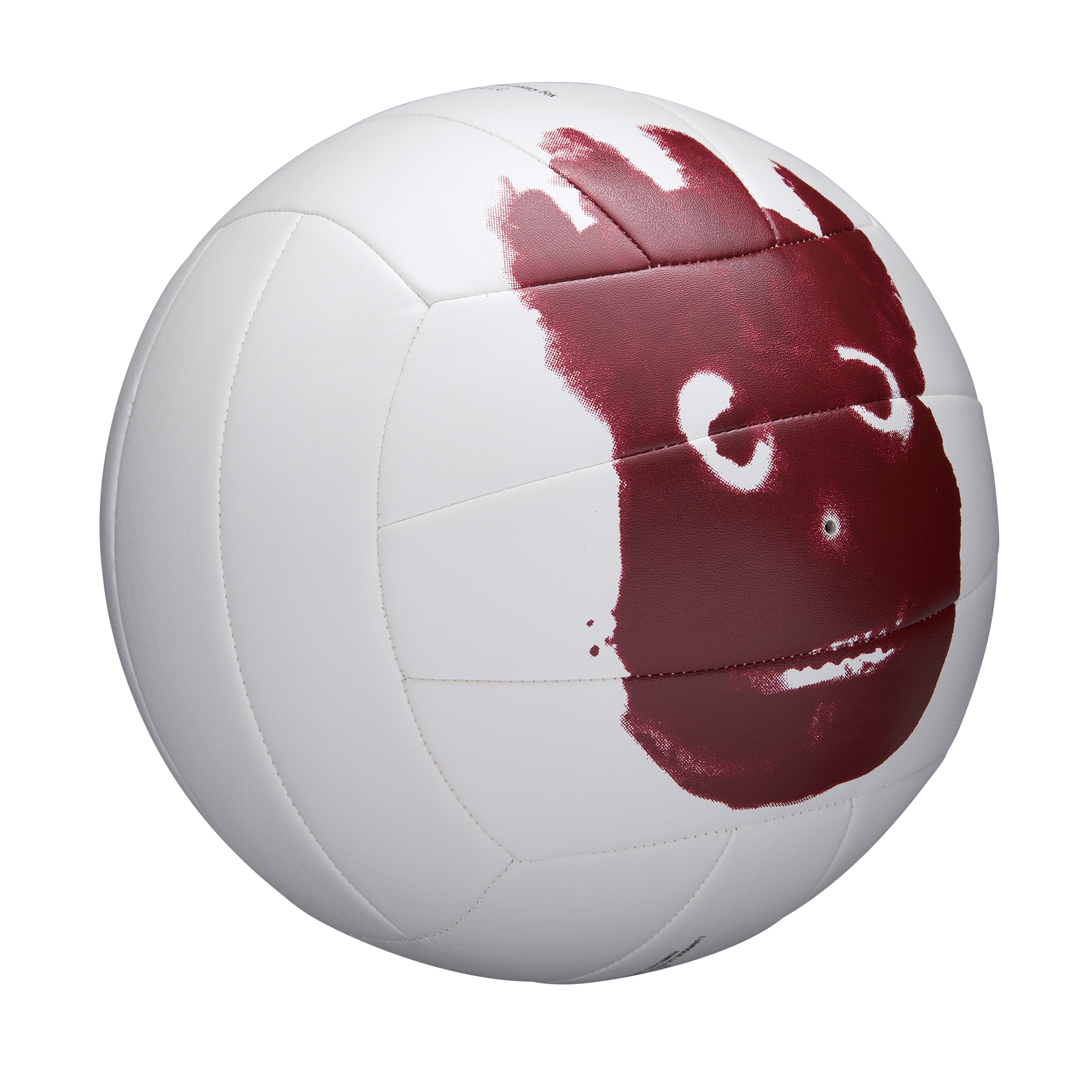 PELOTA DE VOLEIBOL MR WILSON CAST AWAY