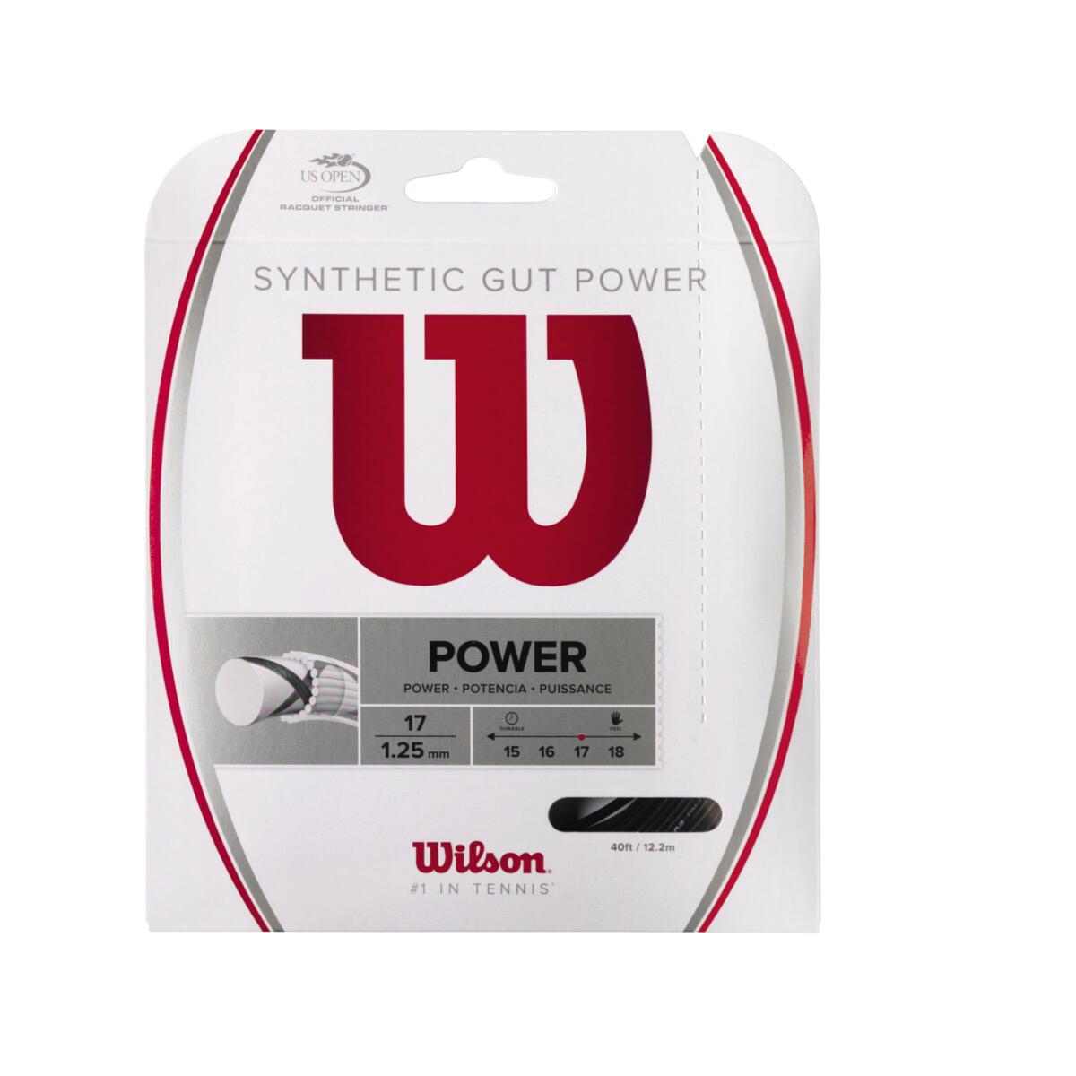 CUERDA SYNTHETIC GUT POWER 17 BK