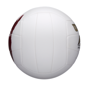 PELOTA DE VOLEIBOL MR WILSON CAST AWAY